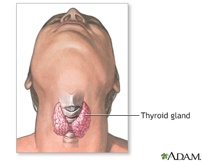 The thyroid gland, a part of the endocrine (hormone ) system, plays a major 